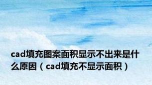 cad填充图案面积显示不出来是什么原因（cad填充不显示面积）