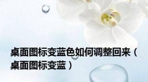 桌面图标变蓝色如何调整回来（桌面图标变蓝）