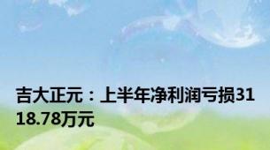 吉大正元：上半年净利润亏损3118.78万元