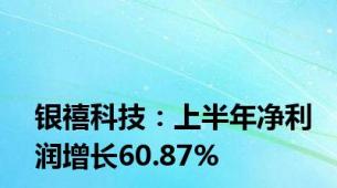 银禧科技：上半年净利润增长60.87%