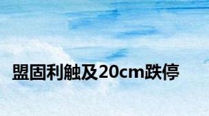 盟固利触及20cm跌停