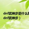 dnf武神步是什么颜色（dnf武神步）