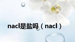 nacl是盐吗（nacl）