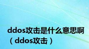 ddos攻击是什么意思啊（ddos攻击）