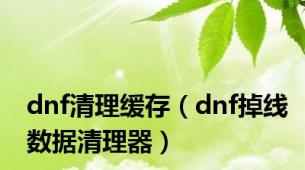 dnf清理缓存（dnf掉线数据清理器）