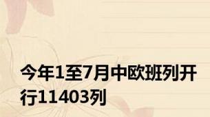 今年1至7月中欧班列开行11403列