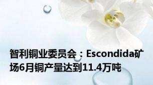 智利铜业委员会：Escondida矿场6月铜产量达到11.4万吨