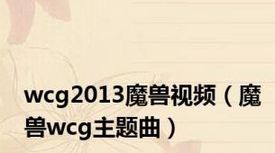 wcg2013魔兽视频（魔兽wcg主题曲）