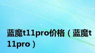 蓝魔t11pro价格（蓝魔t11pro）