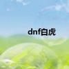 dnf白虎