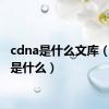 cdna是什么文库（cdna是什么）