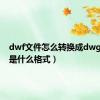 dwf文件怎么转换成dwg（swf是什么格式）