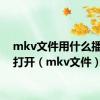 mkv文件用什么播放器打开（mkv文件）