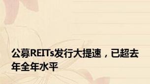 公募REITs发行大提速，已超去年全年水平