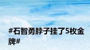 #石智勇脖子挂了5枚金牌#