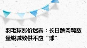 羽毛球涨价迷雾：长日龄肉鸭数量锐减致供不应“球”