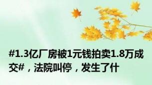 #1.3亿厂房被1元钱拍卖1.8万成交#，法院叫停，发生了什