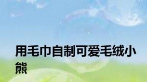 用毛巾自制可爱毛绒小熊