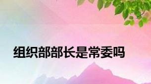 组织部部长是常委吗