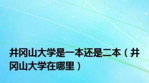 井冈山大学是一本还是二本（井冈山大学在哪里）