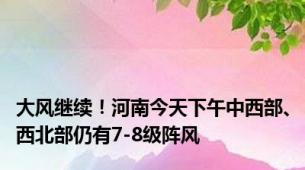 大风继续！河南今天下午中西部、西北部仍有7-8级阵风