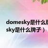 domesky是什么牌子（sky是什么牌子）