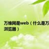 万维网是web（什么是万维网与浏览器）