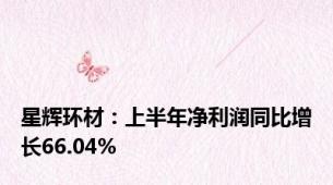 星辉环材：上半年净利润同比增长66.04%