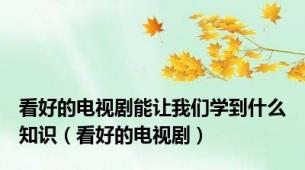 看好的电视剧能让我们学到什么知识（看好的电视剧）