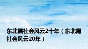 东北黑社会风云2十年（东北黑社会风云20年）