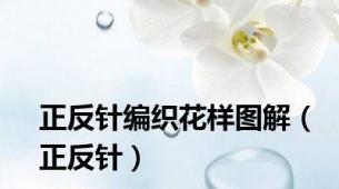 正反针编织花样图解（正反针）