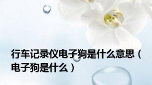 行车记录仪电子狗是什么意思（电子狗是什么）