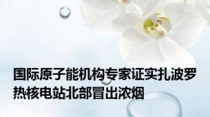 国际原子能机构专家证实扎波罗热核电站北部冒出浓烟