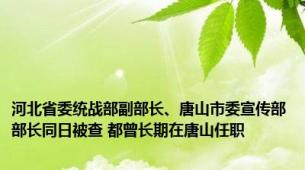 河北省委统战部副部长、唐山市委宣传部部长同日被查 都曾长期在唐山任职