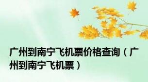 广州到南宁飞机票价格查询（广州到南宁飞机票）