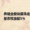 养殖业板块震荡走高 巨星农牧涨超5%