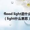 flood light是什么意思（light什么意思）