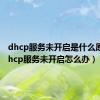 dhcp服务未开启是什么原因（dhcp服务未开启怎么办）