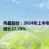 伟星股份：2024年上半年净利润增长37.79%