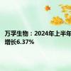 万孚生物：2024年上半年净利润增长6.37%