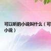 可以听的小说叫什么（可以听的小说）