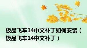 极品飞车14中文补丁如何安装（极品飞车14中文补丁）