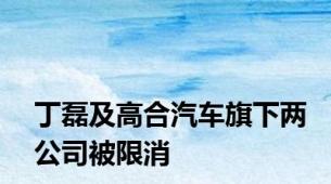 丁磊及高合汽车旗下两公司被限消