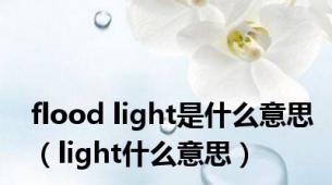 flood light是什么意思（light什么意思）