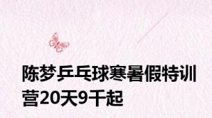 陈梦乒乓球寒暑假特训营20天9千起