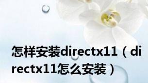 怎样安装directx11（directx11怎么安装）