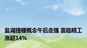 盐湖提锂概念午后走强 富临精工涨超14%