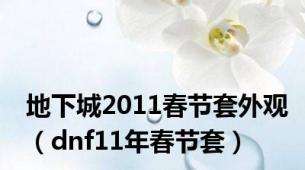 地下城2011春节套外观（dnf11年春节套）