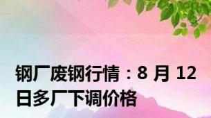 钢厂废钢行情：8 月 12 日多厂下调价格