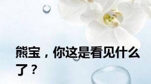 熊宝，你这是看见什么了？